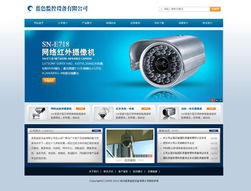 專業、高效、經濟 企業網站的快速搭建方案